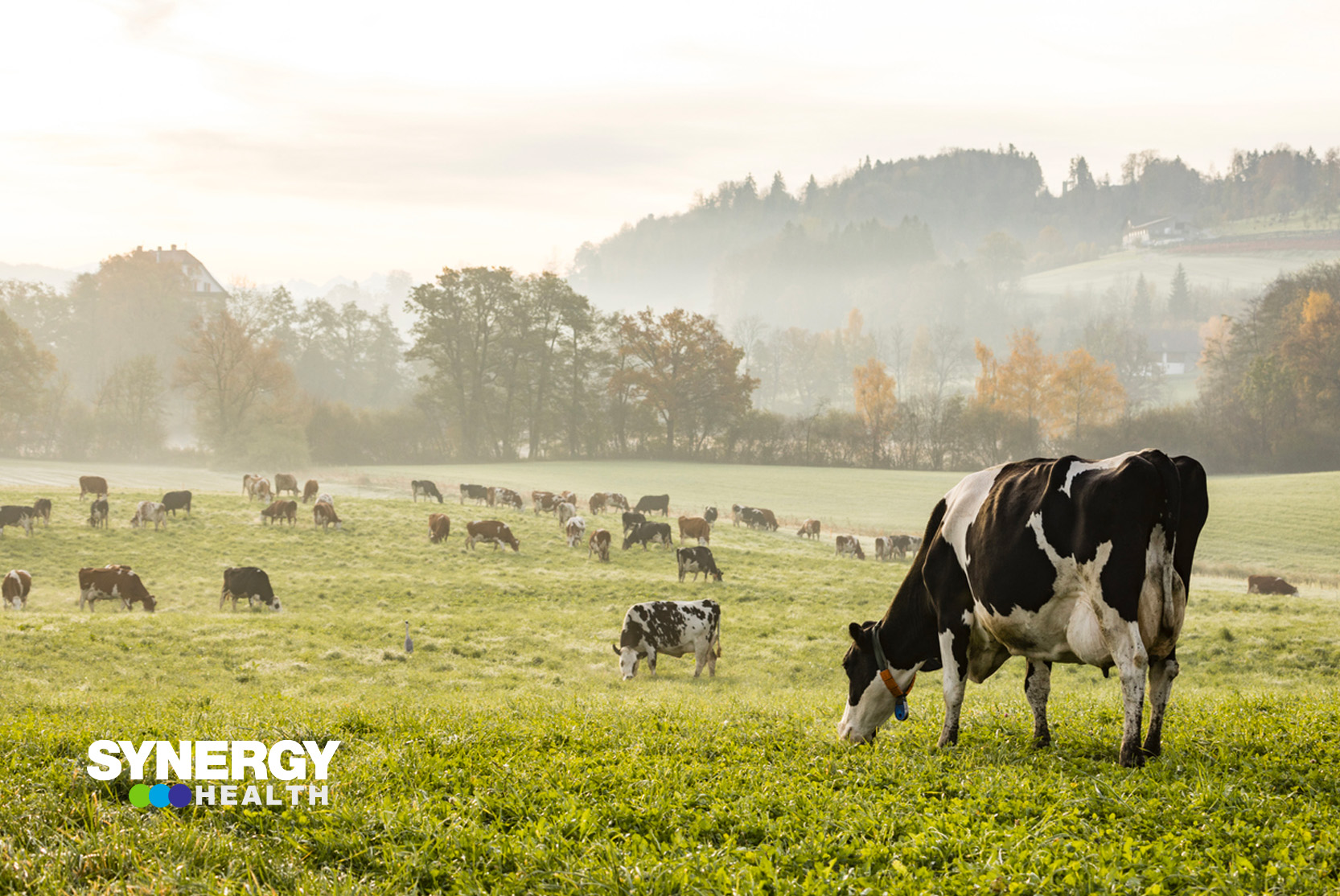 Fonterra team members connecting during the challenge